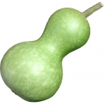 Flaschenkuerbis mini